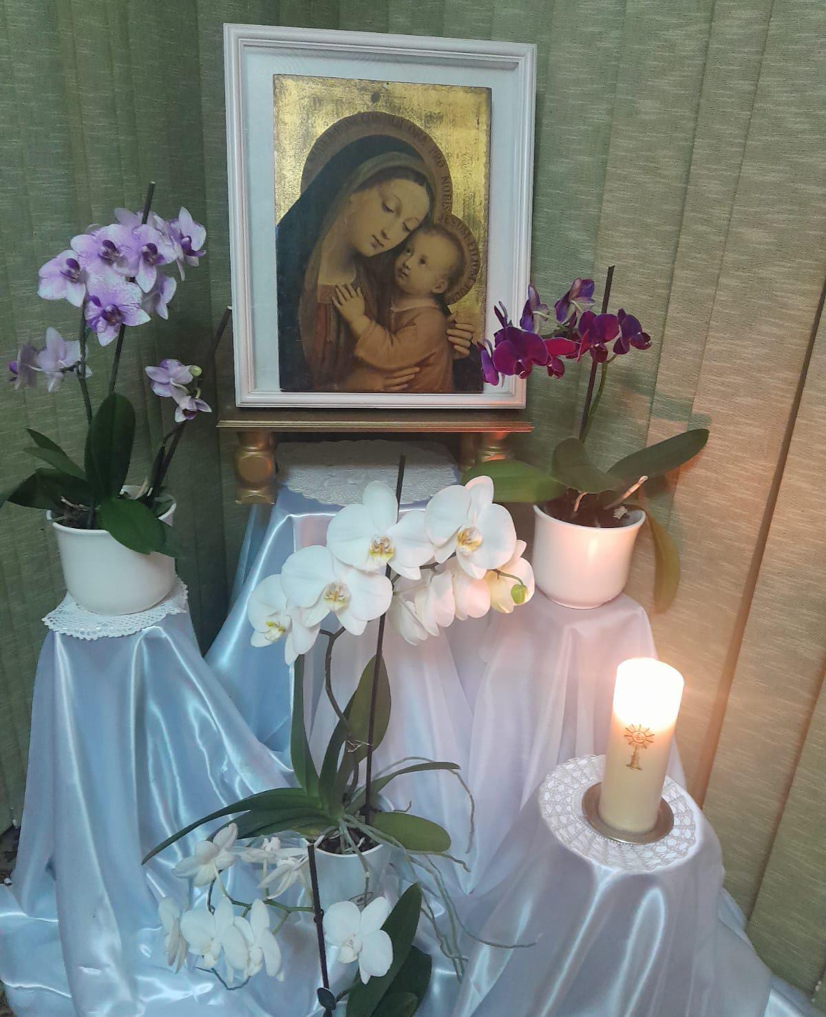 Piccole Figlie del Sacro Cuore di Ges&ugrave;
